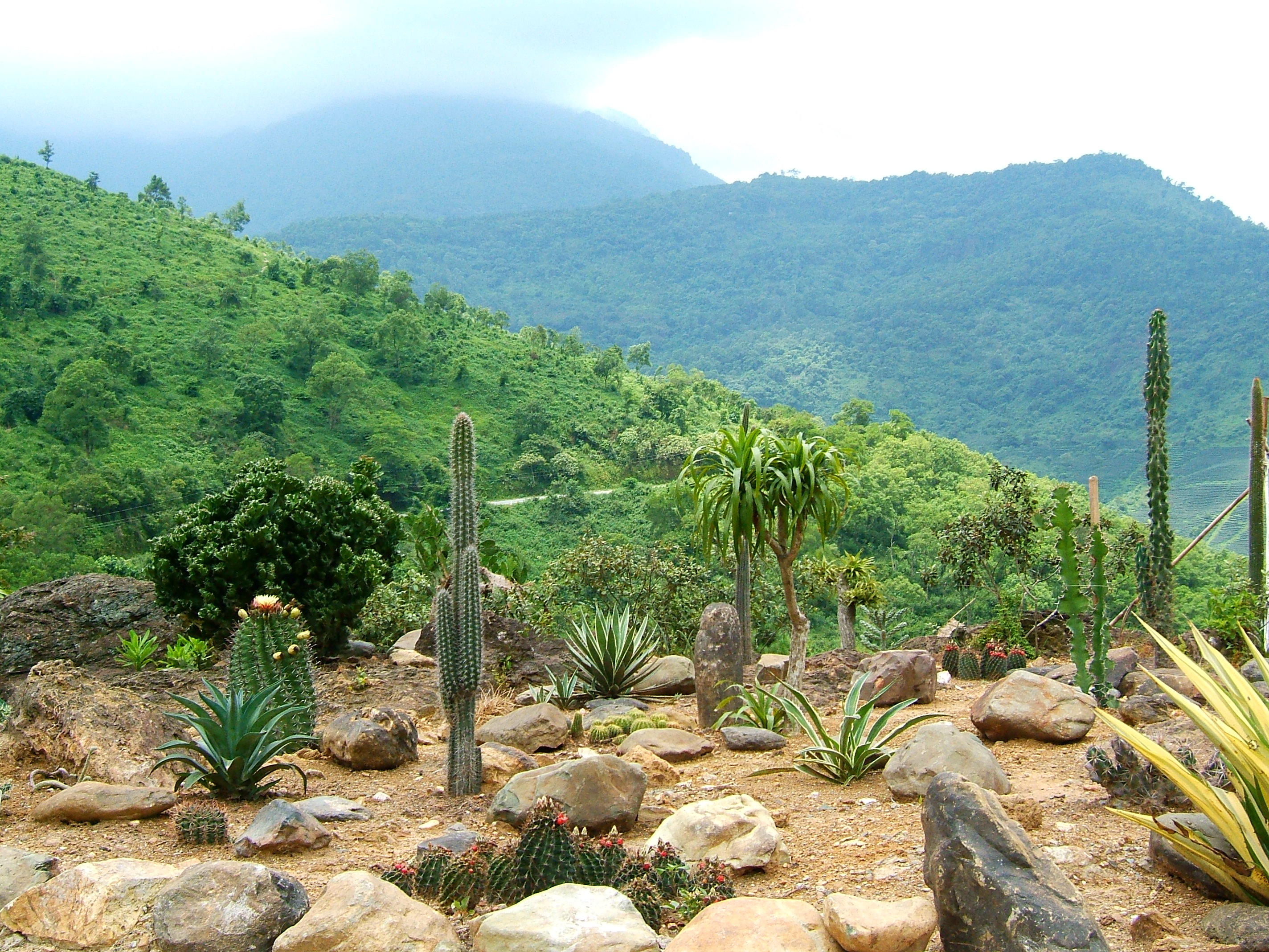 Ngày Chủ Nhật Xanh (Tour Trải Nghiệm Thực Tế 01 Ngày)